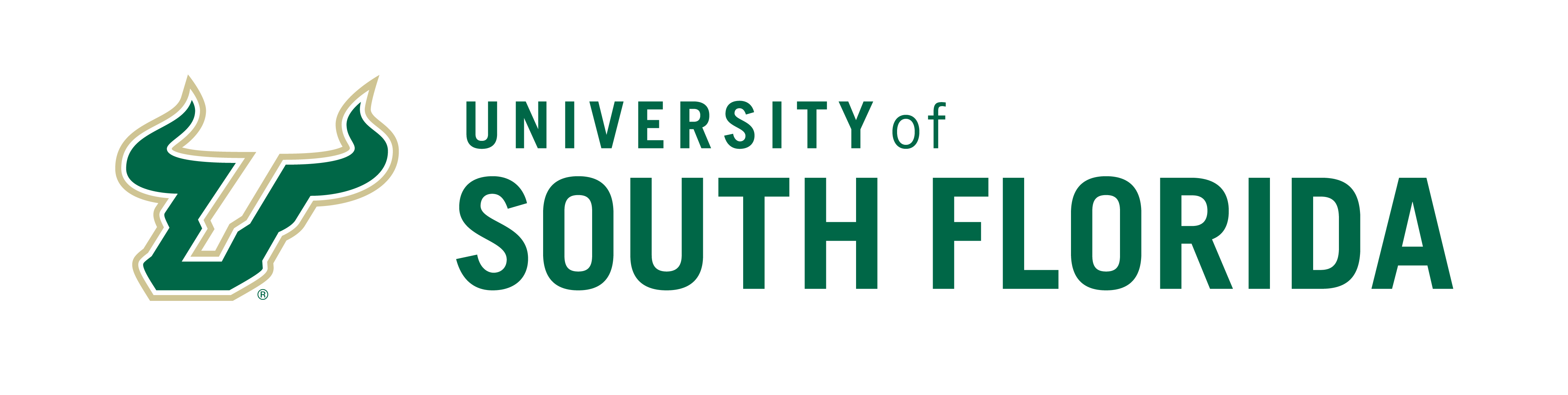 Maymester University of South Florida